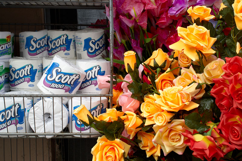 Bodega Flowers